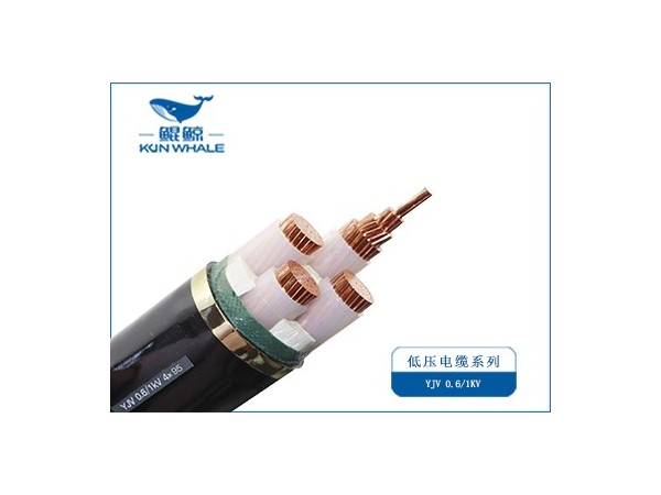 電力電纜選購指南：3步避開非標(biāo)陷阱，2025電纜廠家推薦